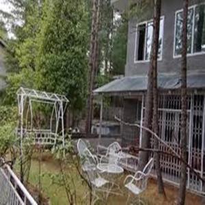 Pinetree Resort Nathiagali Nathia Gali Exteriör bild